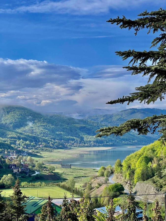 Lakeview Hotel & Apartments Mavrovo Zewnętrze zdjęcie